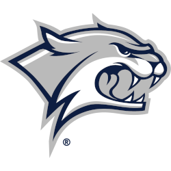 New Hampshire Wildcats Alternate Logo 2000 - 2019